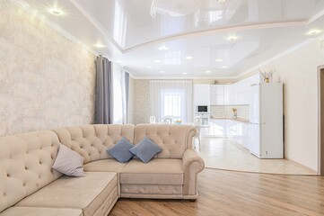 standard interior apartment. living room with sofa