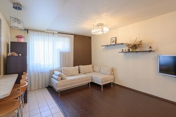 standard interior apartment. living room with sofa