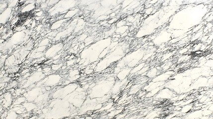 Obraz premium Elegant White Marble Texture Background Grey Veins Pattern