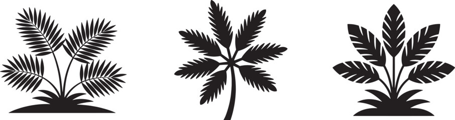 Three Tropical Plant Silhouette Illustrations Botanical Vector Design Elements For Decoration