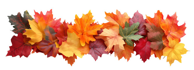 Pile of autumn colored leaves isolated on white background