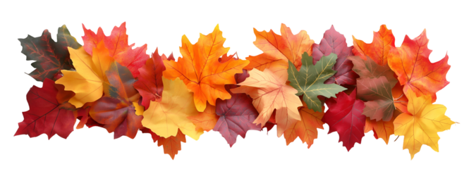 Pile of autumn colored leaves isolated on white background