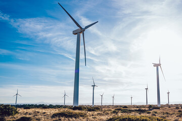 Big wind farm on wild field
