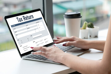 Online tax return form for submitting individual income tax return form snugly on the internet...