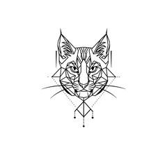Obraz premium vector illustration of a cat