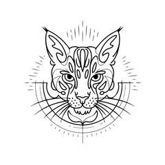 Fototapeta premium vector illustration of a cat