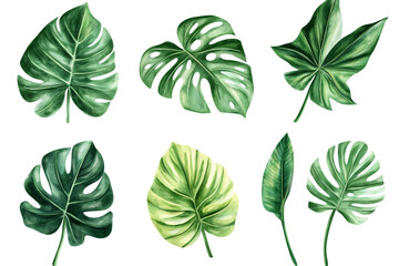 a group of green leaves