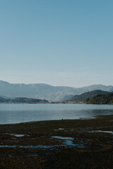 Peaceful view of Skadar Lake in Montenegro with mountain silhouettes in the background and shallow, textured water in the foreground under a clear blue sky.