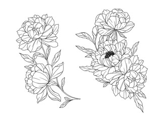 Peony Line Art. Trendy floral peony bouquets and flowers. Botanical Line Drawing Peony Collection. Hand drawn line art peony flowers. Luxury Line Floral Art. Peony Outline