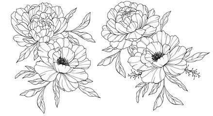 Peony Line Art. Trendy floral peony bouquets and flowers. Botanical Line Drawing Peony Collection. Hand drawn line art peony flowers. Luxury Line Floral Art. Peony Outline