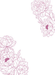 Peony Line Art. Trendy floral peony bouquets and flowers. Botanical Line Drawing Peony Collection. Hand drawn line art peony flowers. Luxury Line Floral Art. Peony Outline