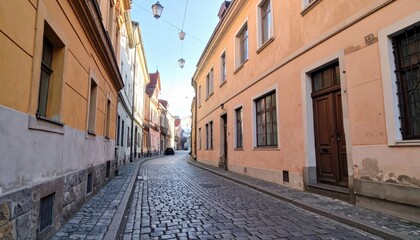 Fototapeta premium Charming cobblestone street historic district urban photography quaint environment perspective view architectural beauty