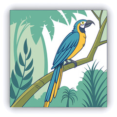 The magnificent bird-of-paradise (Diphyllodes magnificus) is a species of bird-of-paradise. This photo was taken in Arfak mountain, Indonesia.