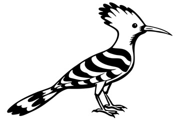 Cute Bird Vector Line Art Illustration – Clipart, Logo Icon, Black and White Bird Drawing