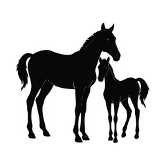 Obraz premium mare foal silhouette side by side vector line art 