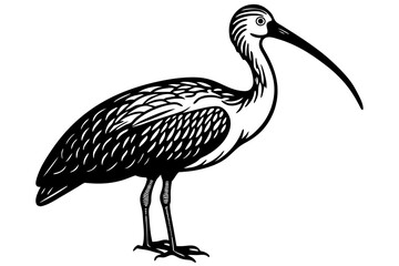 Cute Bird Vector Line Art Illustration – Clipart, Logo Icon, Black and White Bird Drawing