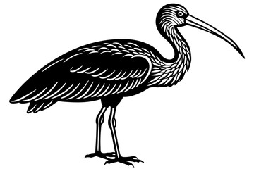 Cute Bird Vector Line Art Illustration – Clipart, Logo Icon, Black and White Bird Drawing