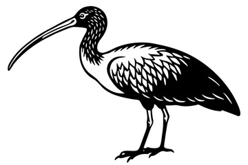 Cute Bird Vector Line Art Illustration – Clipart, Logo Icon, Black and White Bird Drawing