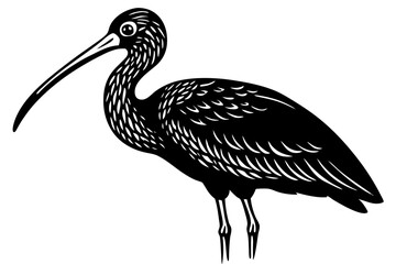 Cute Bird Vector Line Art Illustration – Clipart, Logo Icon, Black and White Bird Drawing