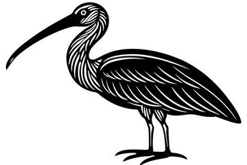 Cute Bird Vector Line Art Illustration – Clipart, Logo Icon, Black and White Bird Drawing