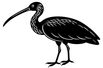 Cute Bird Vector Line Art Illustration – Clipart, Logo Icon, Black and White Bird Drawing