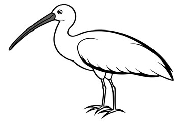 Cute Bird Vector Line Art Illustration – Clipart, Logo Icon, Black and White Bird Drawing