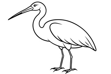 Cute Bird Vector Line Art Illustration – Clipart, Logo Icon, Black and White Bird Drawing