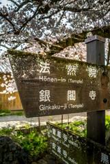 The philosopher's path with sign and cherry blossom in bloom, Kyoto