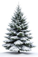 Fototapeta premium christmas tree with snow