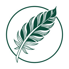 Obraz premium aesthetic leaf logo design 