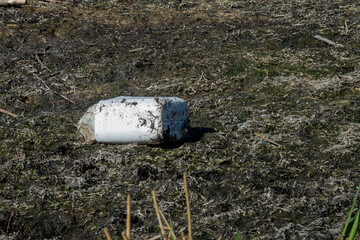 Plastic container lying in muddy terrain near a wetland area during daylight hours