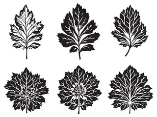 Delicate Marigold Leaf Hand-drawn Line Art Vector