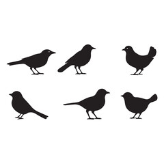 Silhouette Collection of Six Birds