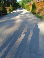 Person's shadow. Young family dad, mom and child walk along the path in the park in the rays of the setting sun