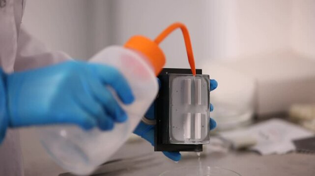 A scientist wearing blue gloves rinses a lab sample holder with distilled water, ensuring the integrity of the experiment. Focus is on precision, hygiene, and research execution.