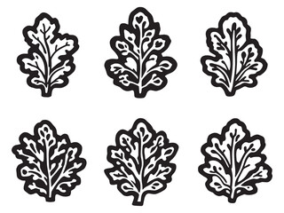 Detailed Line Art of Fresh Dill Leaf Outline Illustration