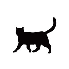 black cat silhouette