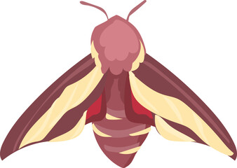 Beautiful Hand-Drawn Colorful Butterfly Illustration with Decorative Wings