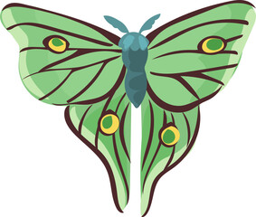 Beautiful Hand-Drawn Colorful Butterfly Illustration with Decorative Wings