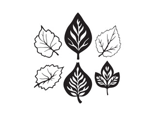 Detailed Locust Leaf Line Drawing for Decor Prints