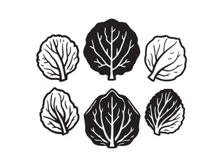 Detailed Vector Art of Cabbage Leaf in Outline