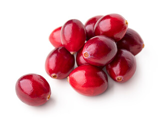 Cranberry isolated on white. 
Heap of cranberries isolated on white background. 