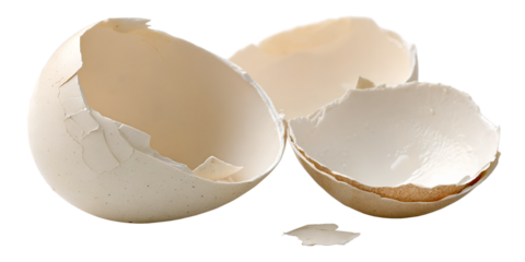 empty broken egg shell on white background