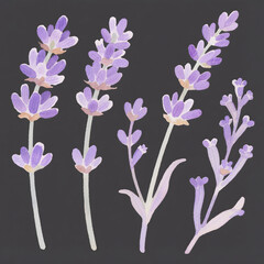 Watercolor lavender clipart set with purple flowers, stems, and green leaves