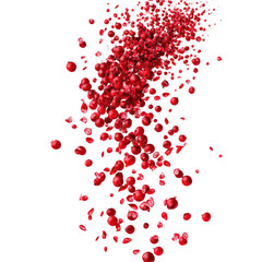 Cranberries Dropping Mid Air  isolated on a transparent background