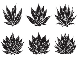 Elegant Agave Drawing in Clean Line Art Style
