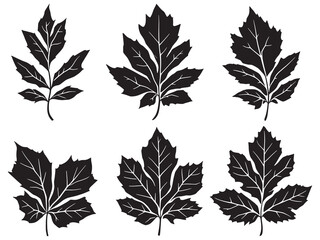 Obraz premium Elegant Ash Branch Line Art for Nature Decor