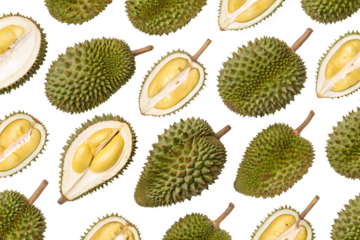 seamless durian pattern on white background