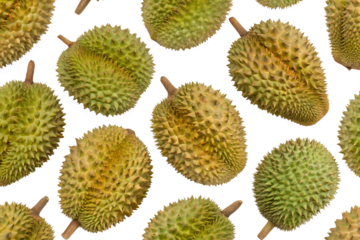 seamless durian pattern on white background