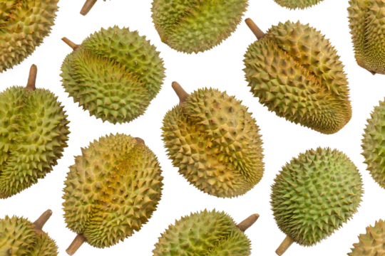 seamless durian pattern on white background
